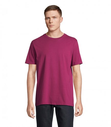 LEGEND LEGEND T-Shirt bio 175g, astral purple