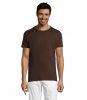 REGENT REGENT UNISEX T-shirt 150g, chocolate